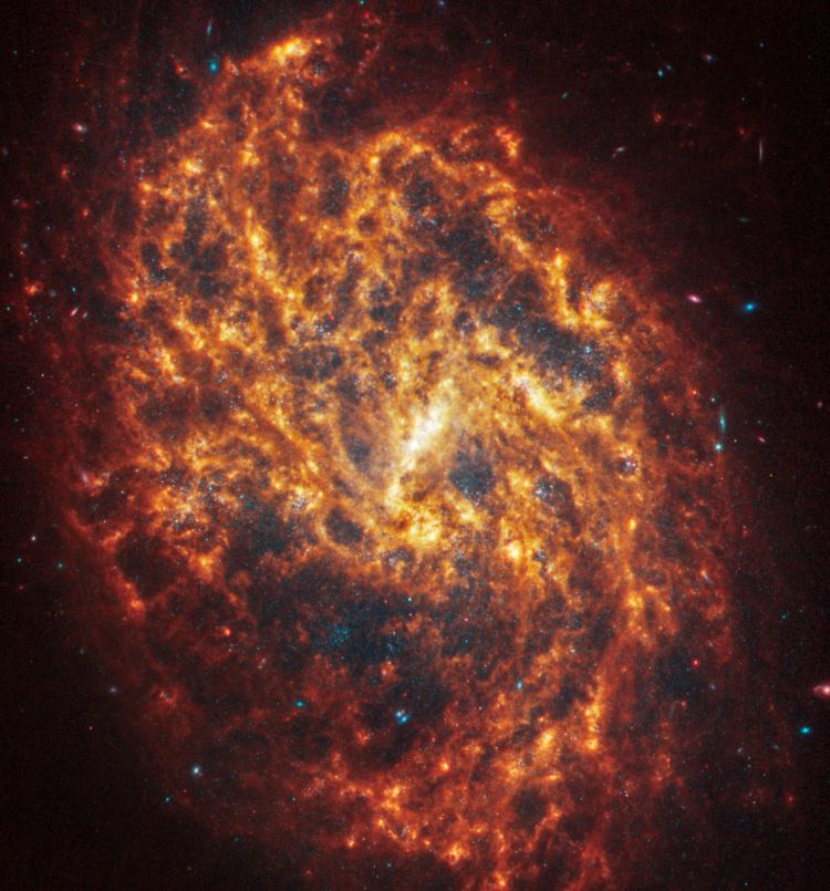 NGC 1087.JPG (102 KB)