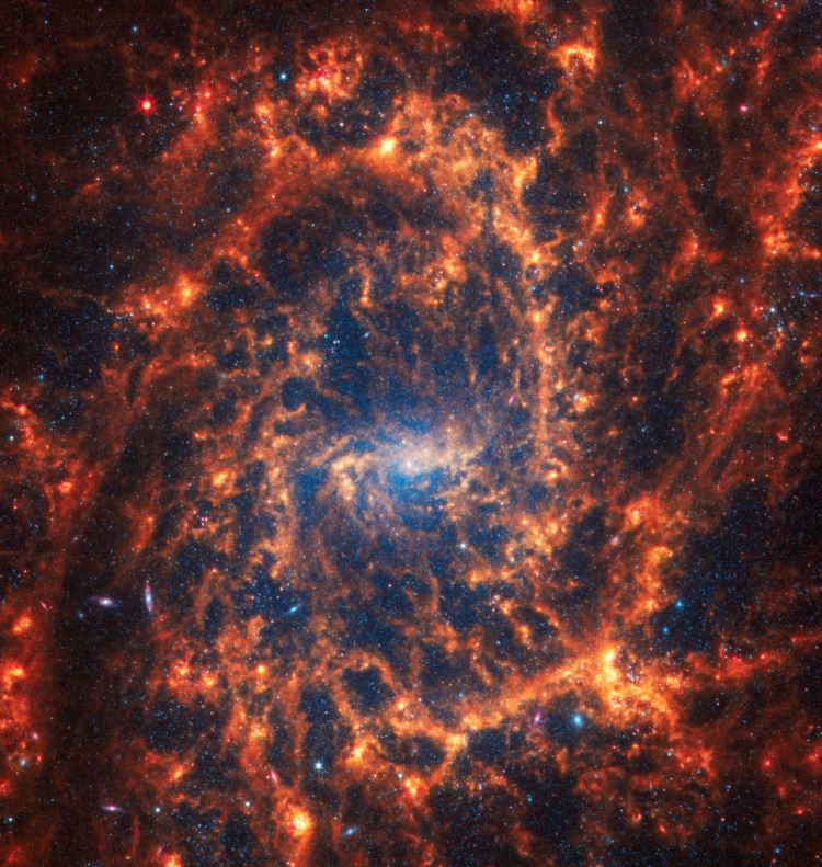 NGC 2835.JPG (131 KB)