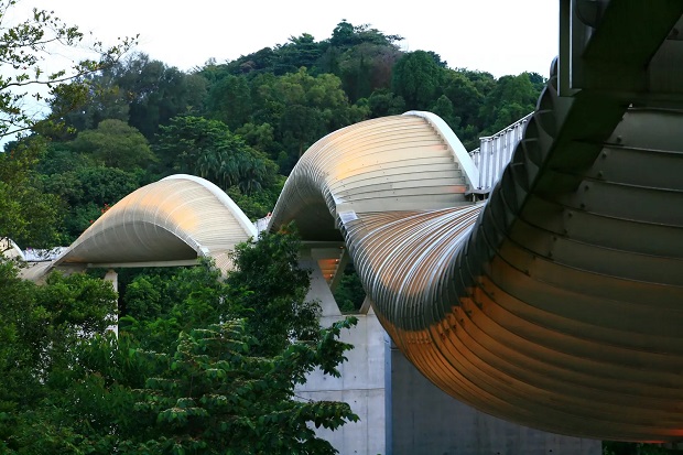 Henderson Waves Bridge (Singapore).jpg (108 KB)