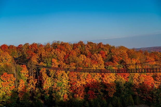 Skybridge Michigan (Boyne Falls, Michigan).jpg (125 KB)