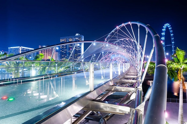 The Helix Bridge (Singapore).jpg (117 KB)