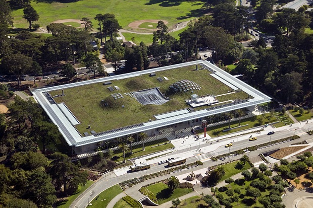 California academy of sciences.jpg (160 KB)