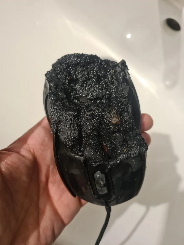 my-gigabyte-mouse-caught-fire-and-almost-burned-down-my-v0-2rbswnmoxjee1.jpg (113 KB)