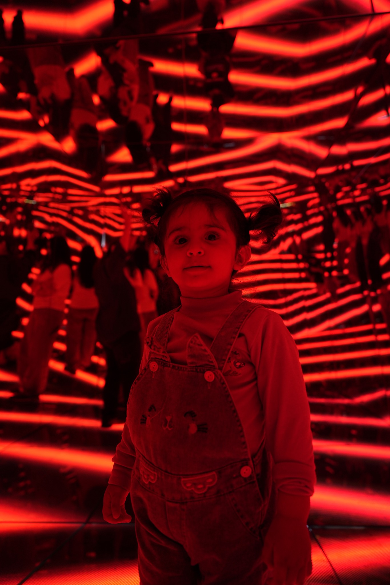 462145166_122110027316417224_5456653245635235754_n.jpg (392 KB)