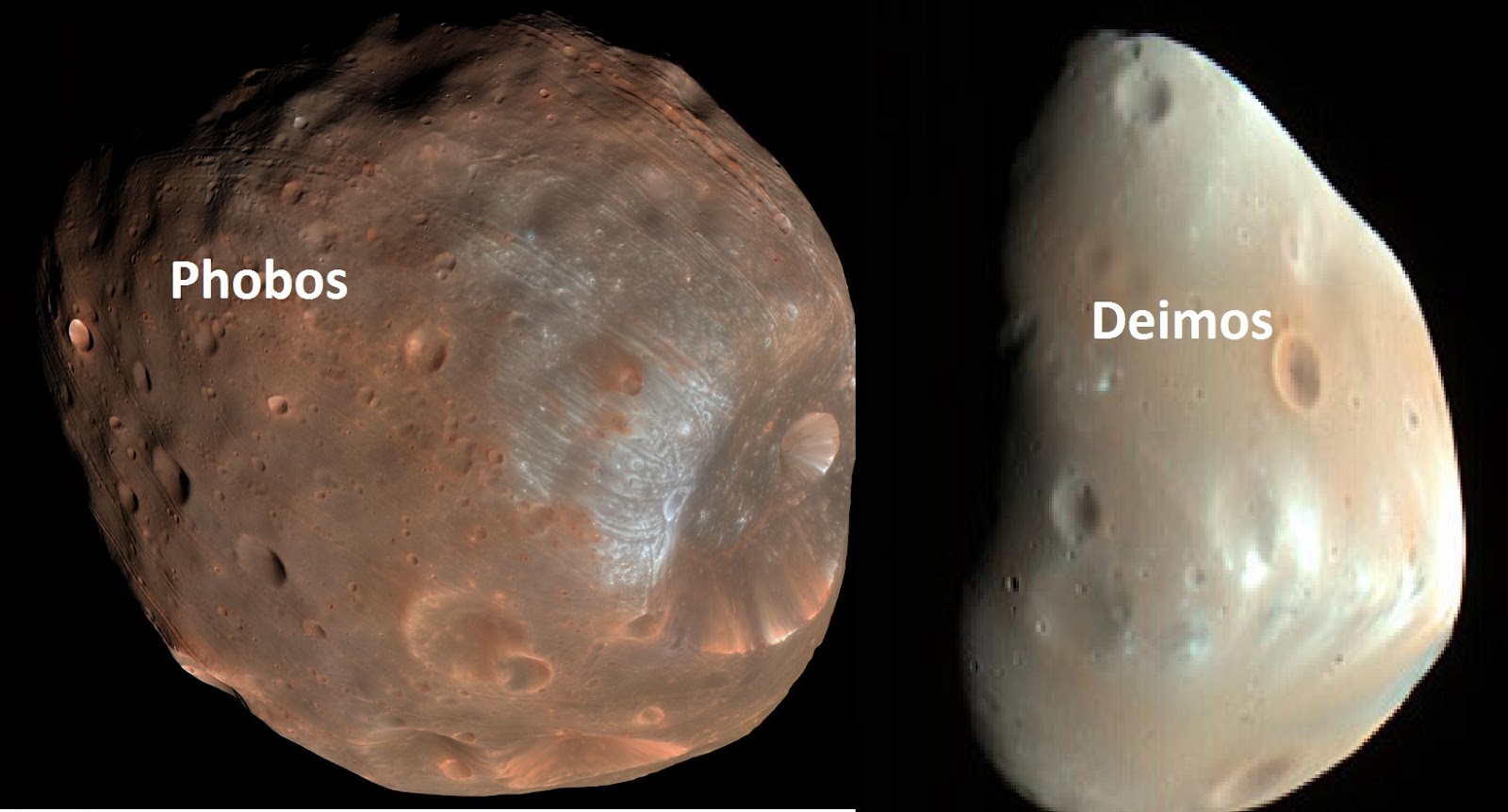 Phobos and  Deimos.jpg (144 KB)