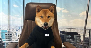 Իլոն Մասկը Twitter-ի տնօրեն է «նշանակել» իր շանը