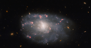 Hubble takes a spectacular photo of an irregular spiral galaxy in the Ursa Major constellation