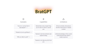 BratGPT: A new neural network has been released that insults and humiliates people