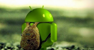 Which version of Android is the most popular today?