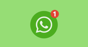 Новая функция в WhatsApp: Уже можно общаться с теми, чьи номера не записаны в телефонную книгу смартфона