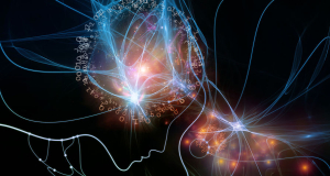 Ученые использовали живую ткань мозга для создания киберсетей