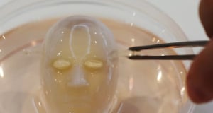 Smiles like a human: Scientists have grown human skin for a robot