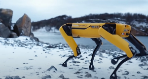 Robot dogs are already cleaning beaches from garbage, working in facilities