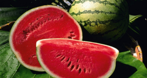 Can neural networks choose a sweet and ripe watermelon?