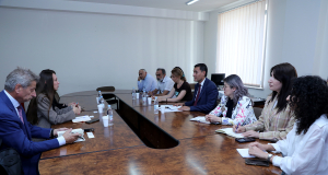 ԿԳՄՍՆ-ում քննարկվել են Google-ի հետ համագործակցության հեռանկարները