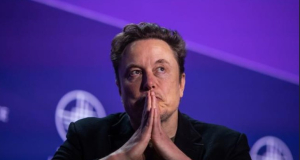 'Hey Elon, can you return my design?' Musk was accused of plagiarism