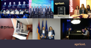Apricot Capital's 2024: A Year in Review