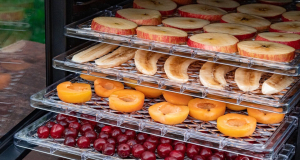 How to choose a dehydrator for vegetables, fruits, and mushrooms?