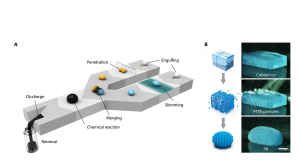 Inspired by "Terminator 2": Scientists create a liquid robot capable of splitting, merging, and deforming