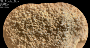 New mysteries of Mars: Long organic molecules and a puzzling stone with spheres