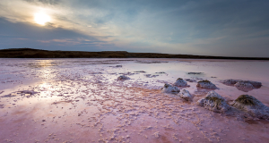 Soda lakes as the cradle of life: Where might Earth’s first organism have emerged?