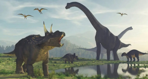 Mammals began their rise before dinosaurs fell: A new discovery rewrites history