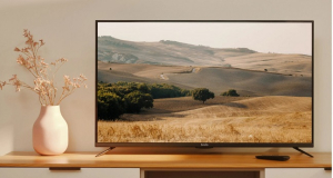 Top 3 TVs under $300: Picking the perfect model for your home