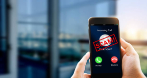 Who falls prey to scammers most often?