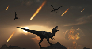 The asteroid that killed dinosaurs gifted marine life a 700,000-year oasis