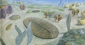 Scientists rewrite evolutionary history: Cambrian explosion began 15 million years earlier