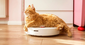 Best robot vacuums of 2025: Top 5 models for the home