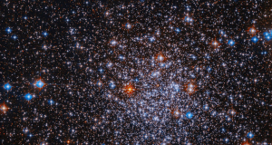 Hubble captures tens of thousands of stars in a single frame: Discovery of the Palomar 8 cluster