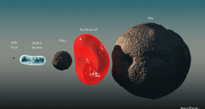 PM 2.5 particles: What are they, why are they dangerous for health and how to protect yourself