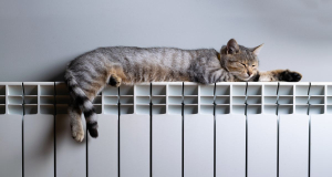 Scientists develop AI to save heat in urban networks