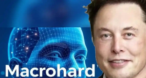 AI alternative to Microsoft? Elon Musk launches a project with the curious name Macrohard