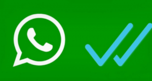 How to read WhatsApp messages without triggering blue checkmarks