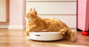 Expensive vs budget robot vacuums: Is it worth paying more in 2026?