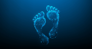 Digital footprint: what the internet knows about you and can you completely &ldquo;erase yourself&rdquo; online?