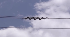 In China, snake-like robots have begun inspecting power transmission lines